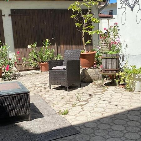 Bristol Apartments باجة المظهر الخارجي الصورة
